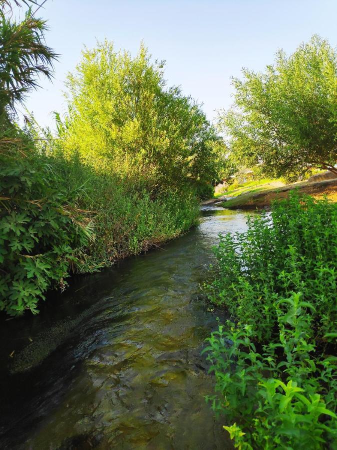 Villa By The River Facing The Hermon In Dafna Dış mekan fotoğraf